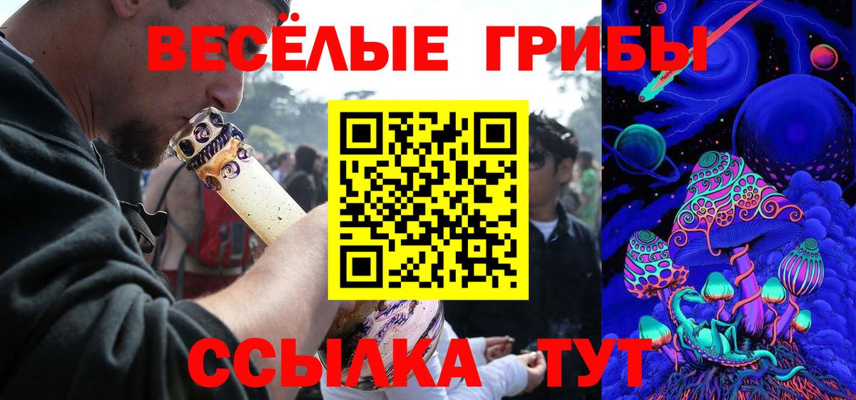 Галлюциногенные грибы мицелий Алатырь
