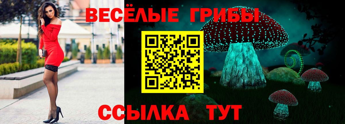  COCAIN Алатырь